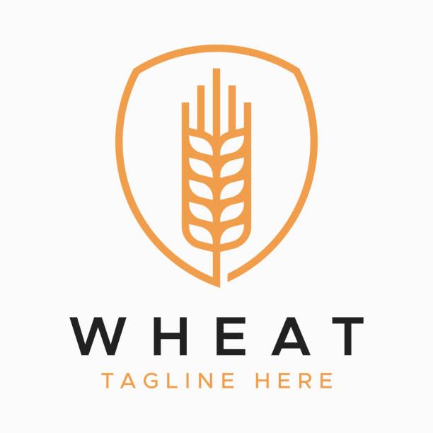 illustrations, cliparts, dessins animés et icônes de forme abstraite du blé sur le logo du bouclier pour la nutrition d’entreprise et les aliments sains - kansas wheat bread midwest usa