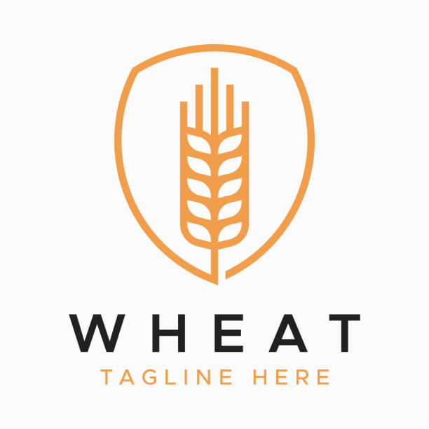 абстрактная форма пшеницы на логотипе «щит для делового питания и здоровой пищи» - kansas wheat bread midwest usa stock illustrations