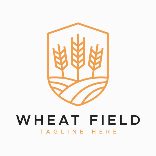 illustrations, cliparts, dessins animés et icônes de symbole de champ de blé ferme agricole logo des aliments naturels biologiques - kansas wheat bread midwest usa