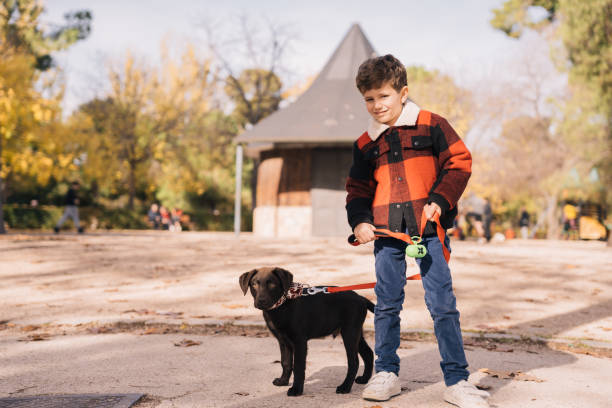istock Boy with puppy in park 1446035247