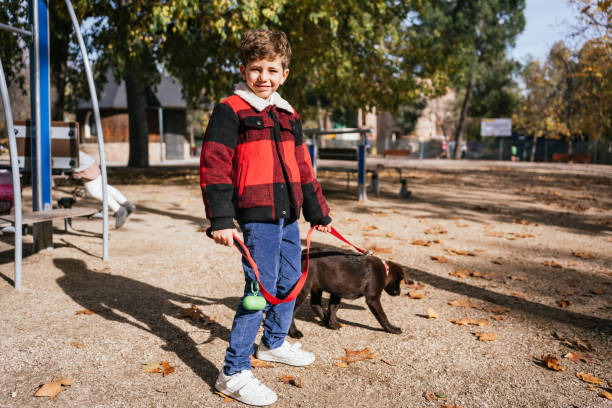 istock Boy with puppy on playground 1446035266