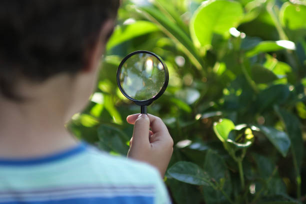 istock Little boy looking on grass with magnifier. Preschooler child is exploring nature with magnifying glass. Curious children in the woods. 1446035882