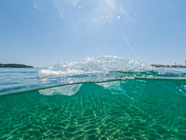 istock Plastic Bottles Floating In The Sea 1446040512