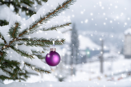 Christmas purple ball on a Christmas tree on a winter background. Winter holidays.