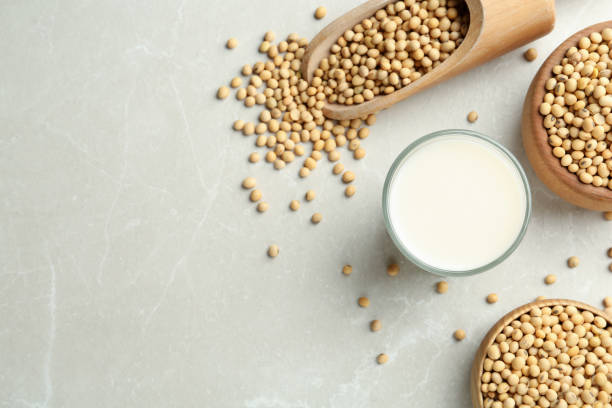 istock Fresh soy milk and beans on light grey table, flat lay. Space for text 1446048681