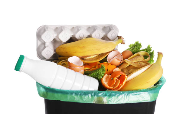 istock Bin full of garbage on white background. Rubbish recycling 1446052092