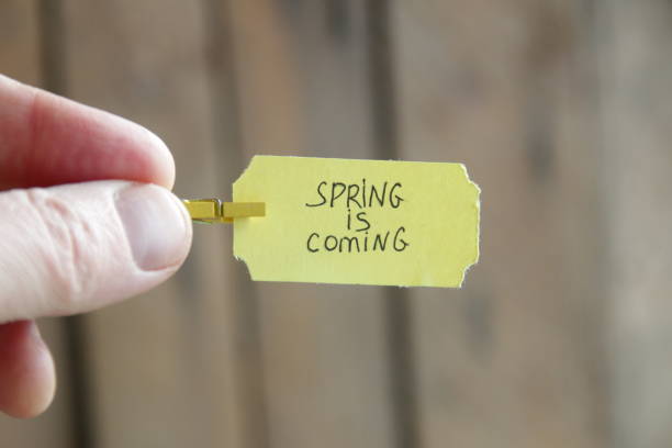 istock Handwriting inscription Spring is coming concept 1446052290