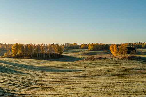 Sunny and frosty autumn morning  in the rolling agricultural landscape in the countryside of county Ostergotland, Sweden