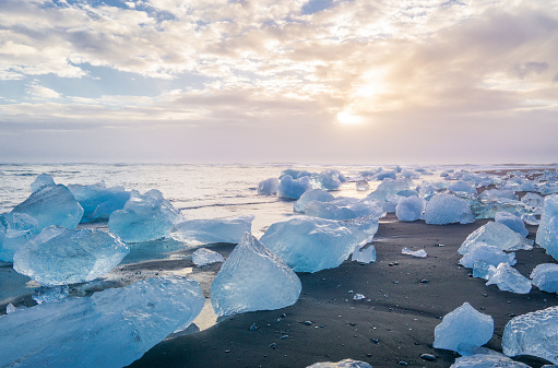 black sand beach with ice blocks at sunset in iceland