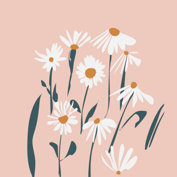 ilustrações, clipart, desenhos animados e ícones de elementos artesanais da flor do crisântemo, vetor desenhado à mão decoração da flor do padrão floral amarelo - flower head bouquet daisy petal