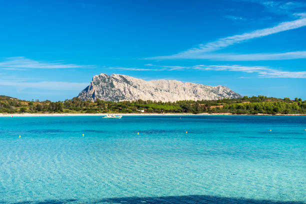 istock Cala Brandinchi 1446056627