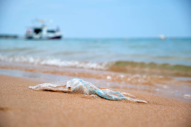 istock Left behind plastic bag garbage on sandy beach. Empty used dirty litter on sea shore. Environmental pollution. Ecological problem 1446061526