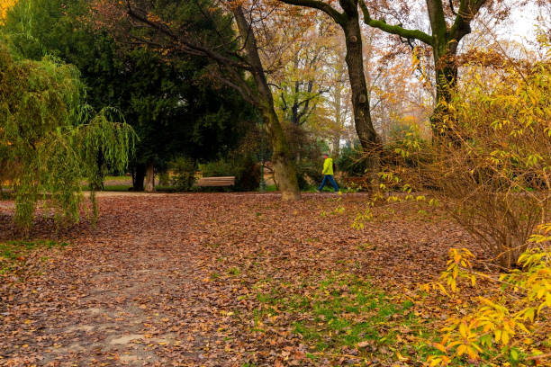 istock autumn in the park 1446064950