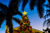 istock Naples, Florida downtown area in evening night with Christmas eve tree at holiday season at Third Street South with decorations, ornaments and palm trees 1446068083
