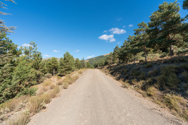 istock dirt road in Sierra Nevada in southern Spain 1446072809