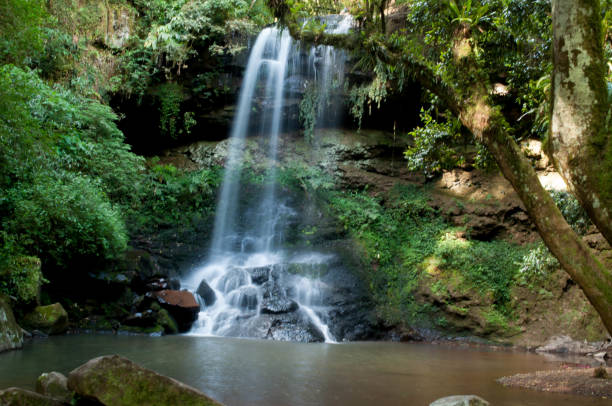 istock Long exposure photograph of a waterfall 1446073089