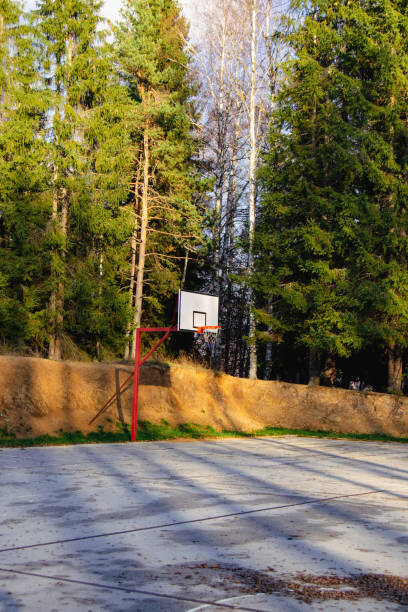 istock Sports ground in nature 1446075819