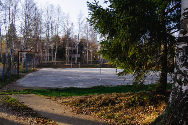 istock Sports ground in nature 1446076221