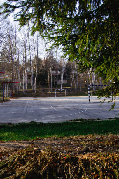 istock Sports ground in nature 1446076605