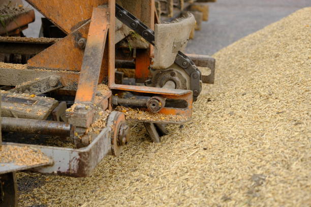 istock Wheat, after harvest. Whole grain for flour products. Automatic food loading. Modern grain loader and separator of agricultural machinery 1446077093