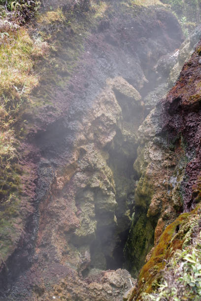 istock : Steam vent at Kilauea Crater Rim 1446077340