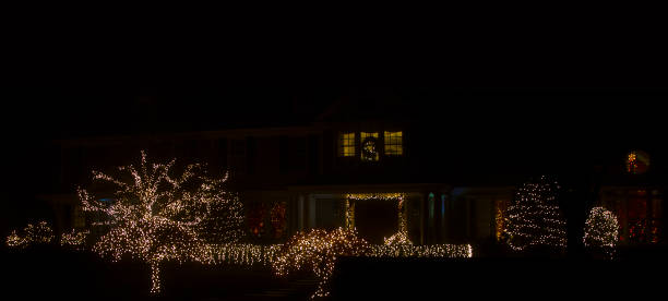 istock House window decorated with Christmas tree and Lights 1446078920