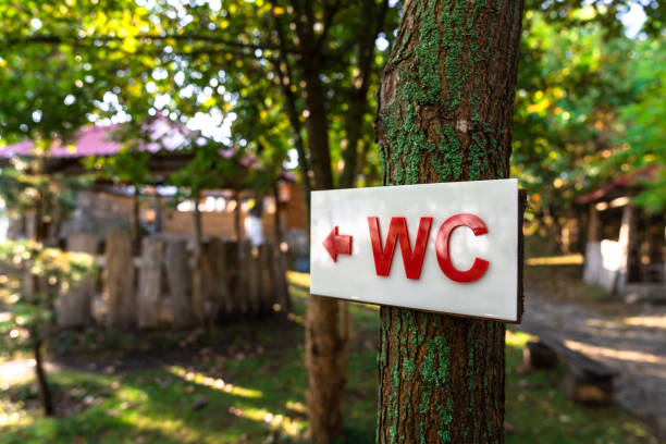 istock WC sign on wood 1446079324