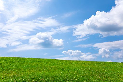 Field of green grass, and blue sky