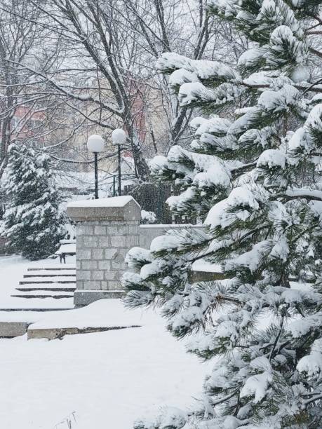 istock Snowy winter landscape 1446081492
