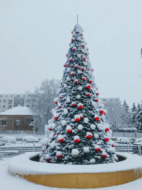 istock Christmas tree decorated with real snow 1446081535