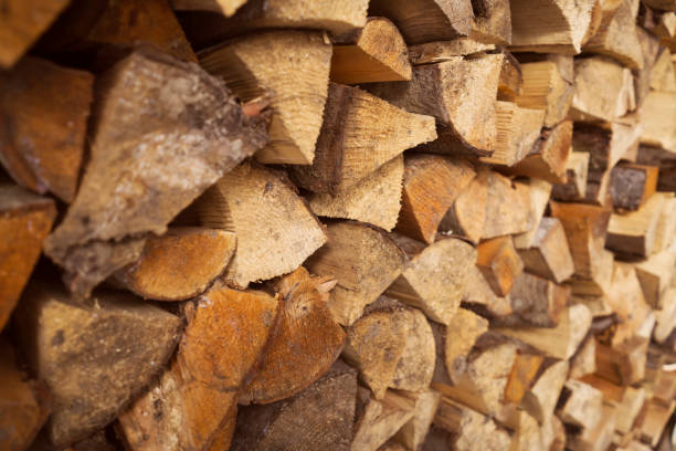 istock Background with old wooden boards, harvested firewood. 1446081645