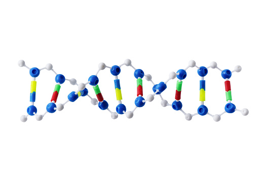 DNA model isolated on white background. DNA souvenir.