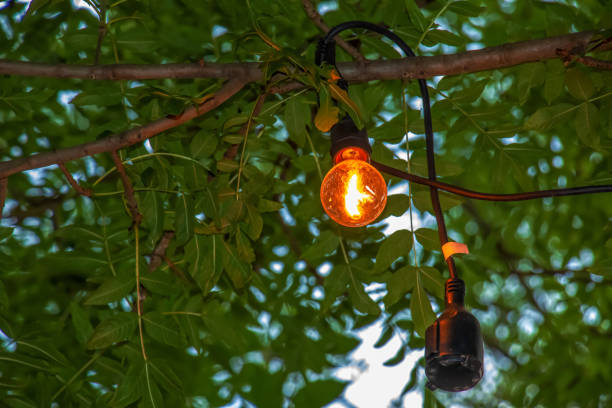 istock A burning light bulb hangs on a tree in the garden. Festive garden decoration. 1446090144