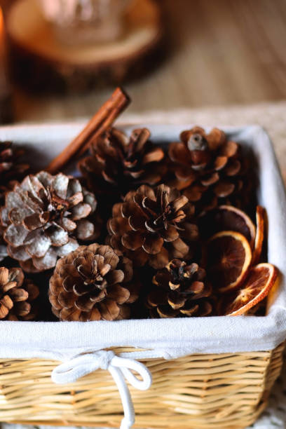 istock Pine Cones, Spices and Candles 1446091469
