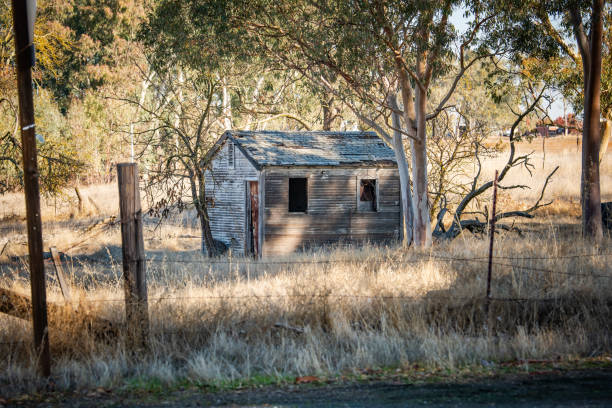 istock Old Shack in the country 1446093211