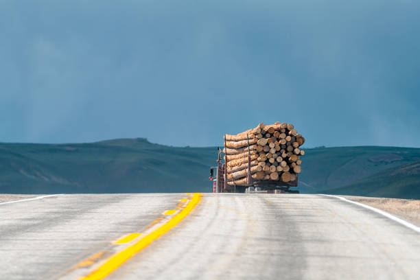 camion livrant du bois d’œuvre sur une route de campagne par temps nuageux près de sillsville, au colorado, dans le comté de gunnison. - 24296 photos et images de collection