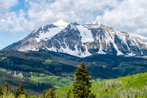 Crested Butte with pine spruce and aspen tree forest in Kebler Pass with snow peak mountain view of Rocky mountains in early summer