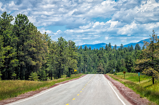 Carson National Forest highway 75 in Penasco, New Mexico with Sangre de Cristo mountains in background, summer green pine trees at high road to Taos