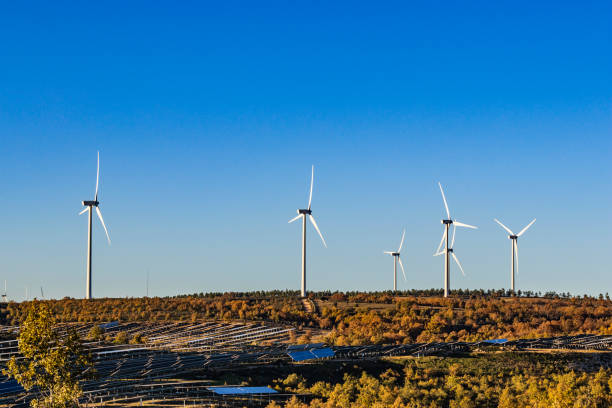 istock Electricity wind turbines in wind farm and solar panels 1446099124