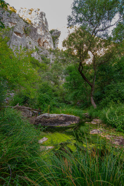 istock Balkan mountain landscape of Eastern Serbia 1446105910