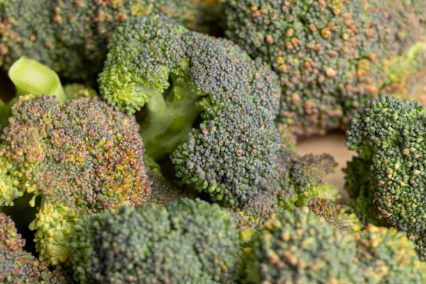 istock Green ripe broccoli in raw form 1446106010
