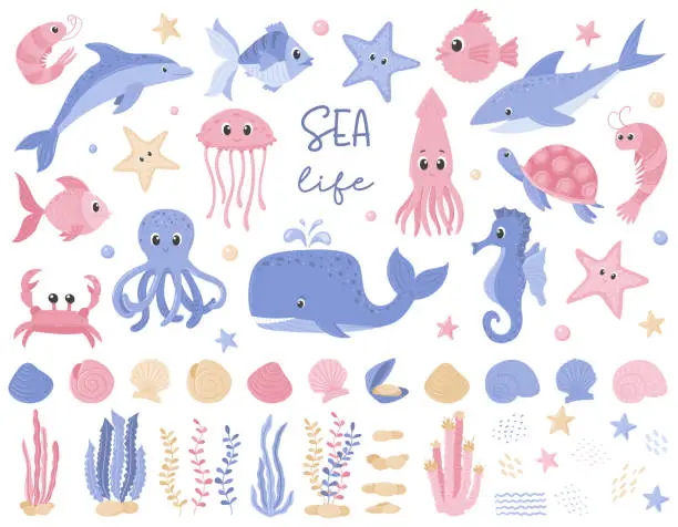 Vector illustration of A set of cute cartoon fish. Whale, octopus, squid, turtle, shrimp. Collection of funny sea animals, algae, plants, rocks. Flat vector illustrations isolated on a white background.