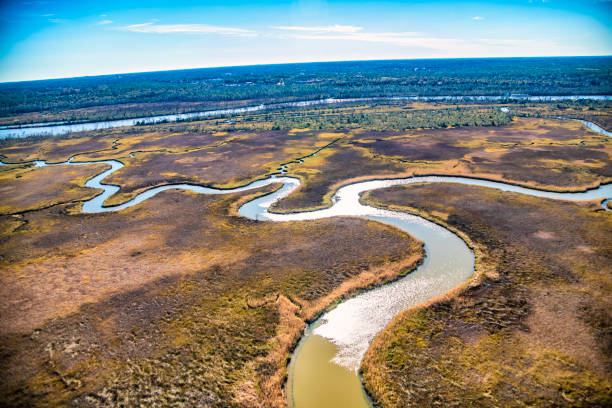 istock Florida Wetland Aerial 1446114907