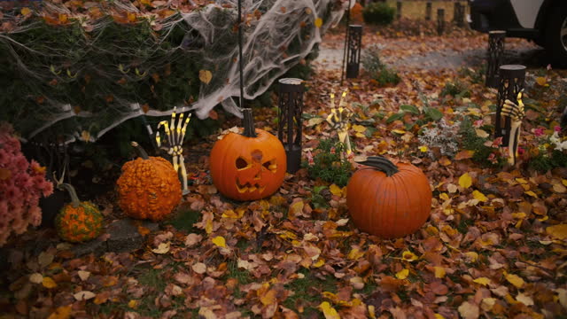 halloween pumpkins near the house