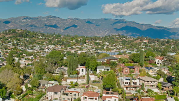 istock Drone View Over Houses in Highland Park 1446116502