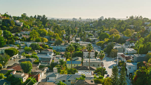 istock Silver Lake, Los Angeles - Drone Shot 1446116519