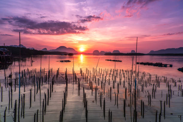 Beautiful sky in the morning during sunrise at fisherman village of Sam-Chong-Tai, Phang-Nga province, Thailand. Beautiful sky in the morning during sunrise at fisherman village of Sam-Chong-Tai, Phang-Nga province, Thailand. Sam Chong Tai village the famous tourist attraction in south of Thailand. phang nga province stock pictures, royalty-free photos & images