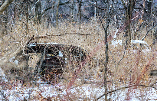 Rusty old junk cars broken and in pieces scattered and apparently abandoned - long forgotten in the frozen winter woods.
