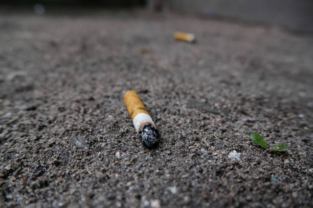 istock cigarette butts on the ground 1446124460