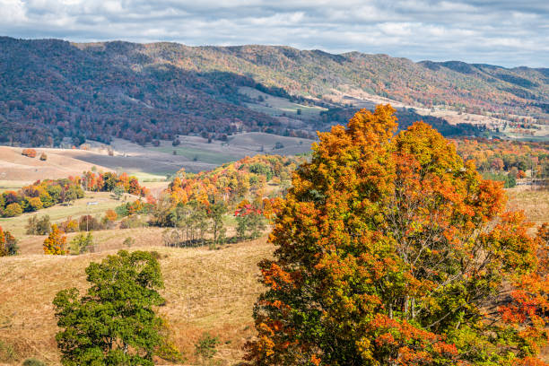 aerial high angle view on autumn colorful maple trees on rolling hills mountain farm houses of monterey, blue grass, virginia highland county - 24252 imagens e fotografias de stock